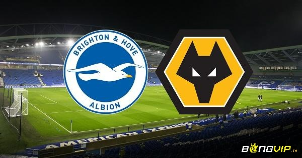 1.Wolves vs Brighton
