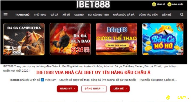 Hiện nay, một trong những nhà cái nổi tiếng, được tin cậy bởi nhiều bet thủ nhất Việt Nam phải kể đến Ibet888 đá gà