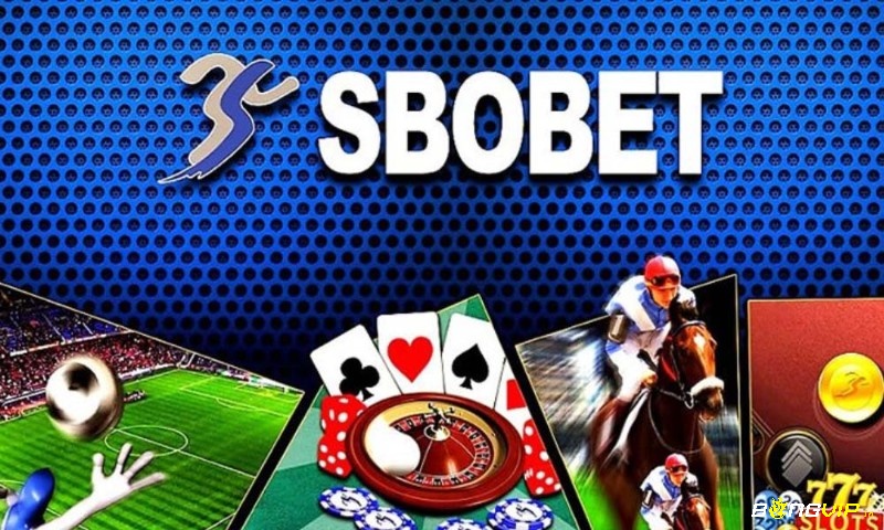 Trang sbobet - Web cá cược thể thao đỉnh cao hiện nay
