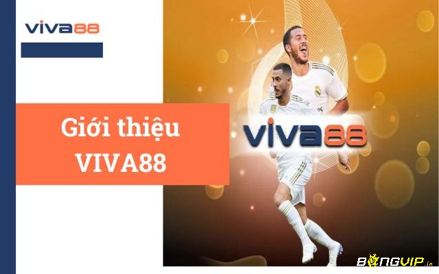 Viva88.con- Đơn vị nhà cái hot nhất hiện nay