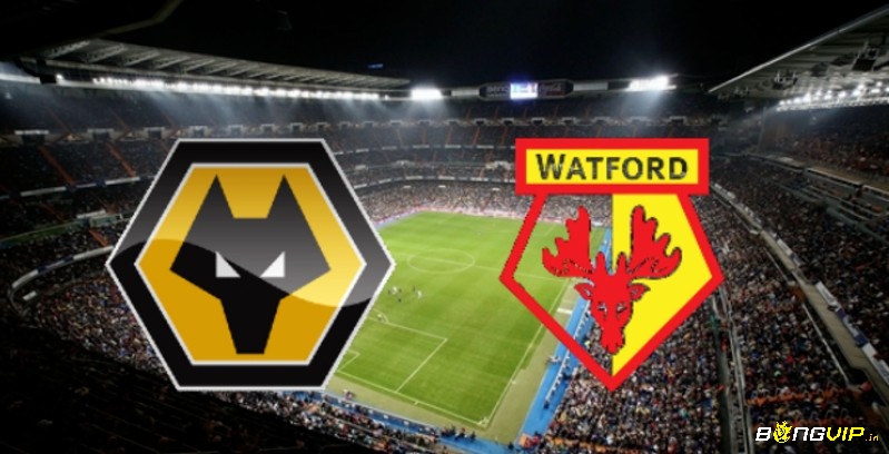Phong độ thi đấu của hai đội Wolves vs Watford