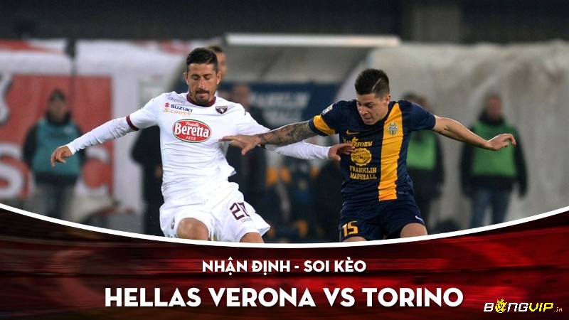 Lịch sử thi đấu của hai đội Verona vs Torino